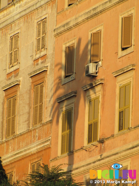 SX30764 Shadow of palmtree on building